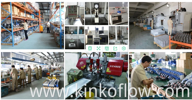 CF8M الصحية الهوائية من خلال كرة التحميل السريع